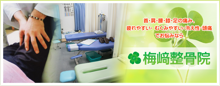 梅﨑整骨院